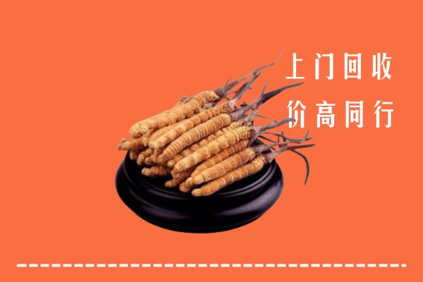 高价求购：临沂蒙阴县回收散虫草