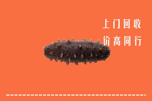 高价求购：临沂蒙阴县回收海参