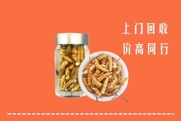 临沂蒙阴县回收冬虫夏草
